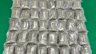 海關檢獲77公斤懷疑大麻花-市值約1600萬元拘捕3人