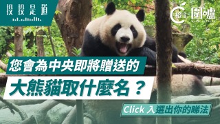 投投是道-您會為中央即將贈送的大熊貓取什麼名