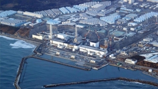 東電公司運送福島核電站燃料殘渣至研究機構-將對其進行硬度和成分分析