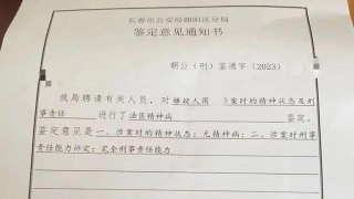 吉林厭世男子高樓拋磚致1死3傷-被判死刑立即執行