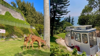 深圳好去處-超夢幻臨海小火車-天使灣無敵海景-水中韆鞦打卡-餵梅花鹿