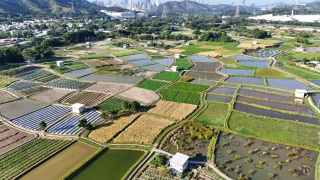 塱原自然生態公園今開幕-開放予公眾參觀