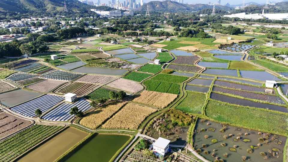 塱原自然生態公園今開幕　開放予公眾參觀