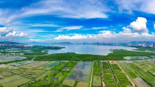 北都設三寶樹濕地保育公園-面積大濕地公園5倍