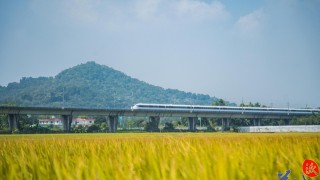 大美嶺南-中山崖口村-山海之間-沃野鎏金