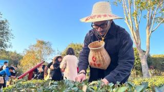 武夷山主景區明年上半年面向海內外遊客免門票