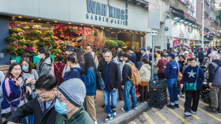 送龍迎蛇-市民選購年花注意-旺角花墟即日起至下周三封路