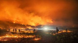 Opinion---The-Rising-Flames--A-Global-Call-for-Community-Led-Wildfire-Prevention