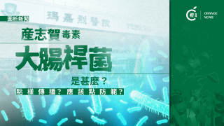 圖析新聞-產志賀毒素大腸桿菌是甚麼--感染來源是甚麼和怎樣防範