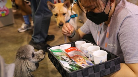 袁添-推動寵物友善餐廳立法-把握商機增城市包容性