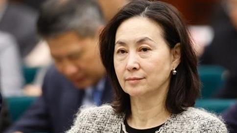 全國兩會｜何超瓊：港澳聯通世界需「雙向奔赴」　將承擔更多國際合作職責