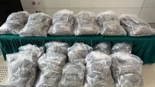 海關-截查泰國入口冷凍貨櫃檢138公斤懷疑大麻花-料市值約3500萬元