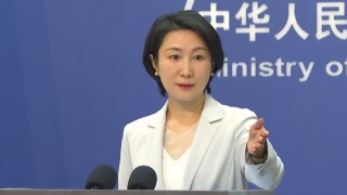 俄烏戰爭-外交部-支持俄烏直接對話談判-支持政治解決危機