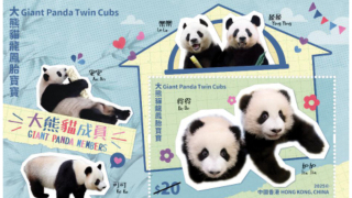 香港郵政7月至12月發行五套郵票-包括-大熊貓龍鳳胎-等主題