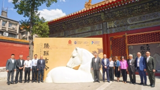 公益慈善研究院獨家捐助-騰躍古今--馬文化數字藝術展--解碼馬文化的千年傳承