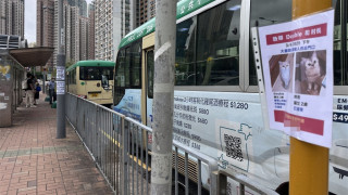 回家揭兩愛貓遭遺棄-女兒大怒報警拉七旬父