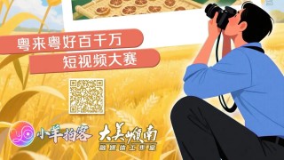 粵來粵好百千萬-短視頻大賽啟動-記錄廣東鄉村新風貌贏大獎