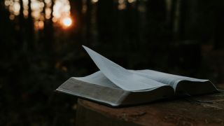 薦書-讀-台北戀人-編輯手記-賞歷史小說的悲情與魅力
