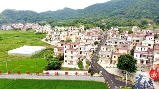 大美嶺南-雲浮禾地崗村-美麗庭院-一路生花