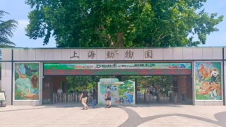 10月齡嬰兒展館內喝奶竟遭驅趕-上海動物園-依規辦事不道歉