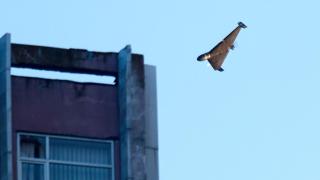 俄烏戰爭-烏軍稱俄發動大規模空襲60枚導彈狂轟-澤連斯基促歐美施壓