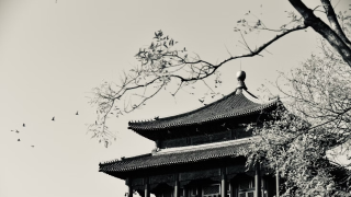 文化漫談-騙術也有經書--杜騙新書-展現晚明江湖欺詐之道