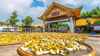 當代中國-舌尖上的廣東博物館-灣區自由行人文篇