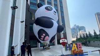 盛事不斷-全港首個熱氣球節9月舉行-包括展出11-5米高大熊貓熱氣球