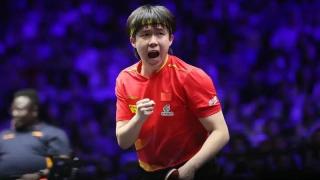 王楚欽4比0橫掃張本智和-奪WTT美國大滿貫男單冠軍