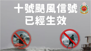 颱風韋帕-消防接72宗塌樹報告-2男子在風暴期間受傷