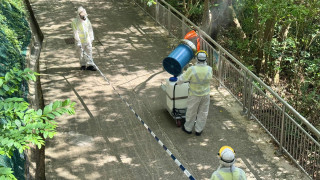 基孔肯雅熱-當局加強地區防蚊滅蚊-為物管公司等提供技術支援