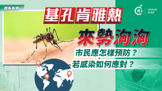 圖析新聞-基孔肯雅熱來勢洶洶-市民怎樣預防-若感染如何應對