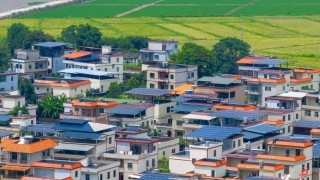 大美嶺南-河源東源縣下壩村-尋找天外來稻