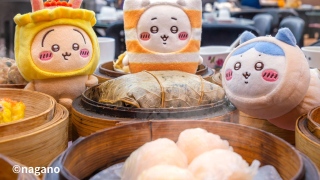 旅發局推CHIIKAWA-DAYS大型特展-邀巿民到四大旅遊熱點與限定-飲茶-系列打卡
