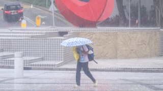 陳國基-當局應對極端天氣有完整方法-昨日暴雨印證機制行之有效