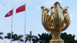 林琳敦促國際社會尊重-一國兩制---終止為犯罪份子提供政治庇護