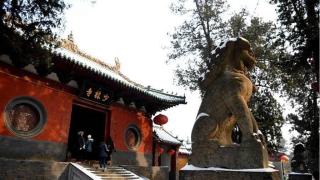 傳少林寺改革掀-離職潮--工作人員-未聽說有僧人或員工離職