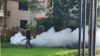 基孔肯雅熱-國家疾控局發布防控指南-廣東廣西被列為流行風險-類地區
