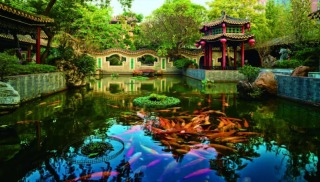 看展覽-灣區的根藏在日常裡-故園行續展紫荊藝術展覽空間舉行