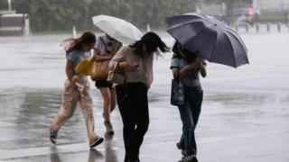 颱風楊柳-粵閩浙多地將迎特大暴雨-部分列車停運景區關閉