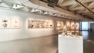 南韓著名漫畫家金政基回顧展盛大亮相-展現-人肉打印機-驚人即興創作