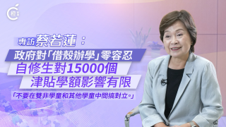 有片-蔡若蓮-政府對-借殼辦學-零容忍-組建-突擊巡查小隊-加強規管