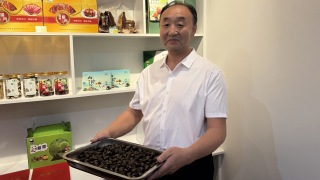 陝西佛坪板栗-走出大山-直供香港-助農戶增收致富