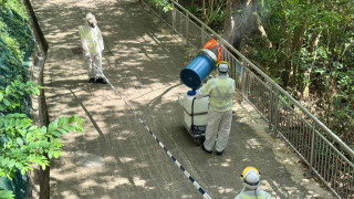 基孔肯雅熱-新增1宗輸入個案-34歲男患者曾在斯里蘭卡被蚊叮咬