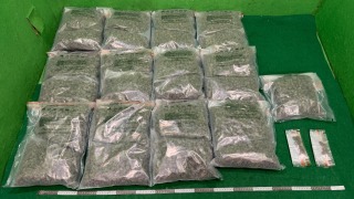 海關破兩宗機場入境旅客販毒案-共檢約24-5公斤大麻花