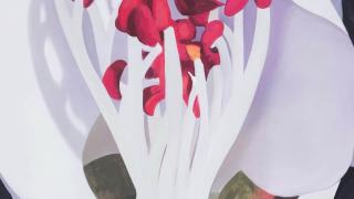 當代唐人藝術中心舉辦群展-夏-光--十位國際藝術家重釋當代光之寓言