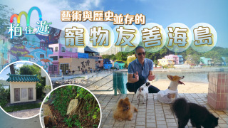 姚柏良-柏住遊-藝術與歷史並存的寵物友善海島