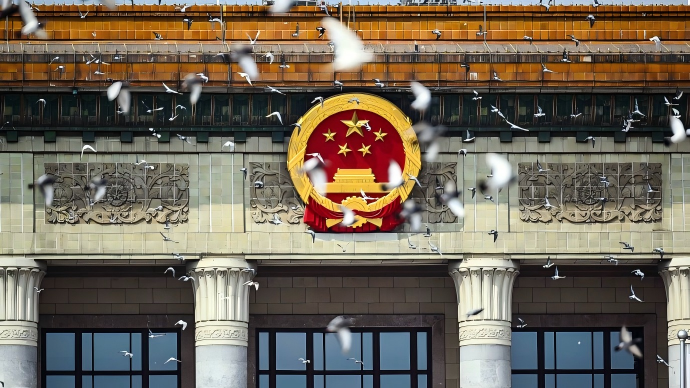 ​抗戰勝利80周年｜閱兵後8萬和平鴿高飛　均「借」自北京信鴿協會市民