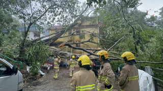 颱風塔巴-兩男風暴期間受傷-暫接19宗塌樹報告