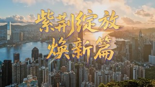 有片-紫荊綻放煥新篇-插上科創翅膀
